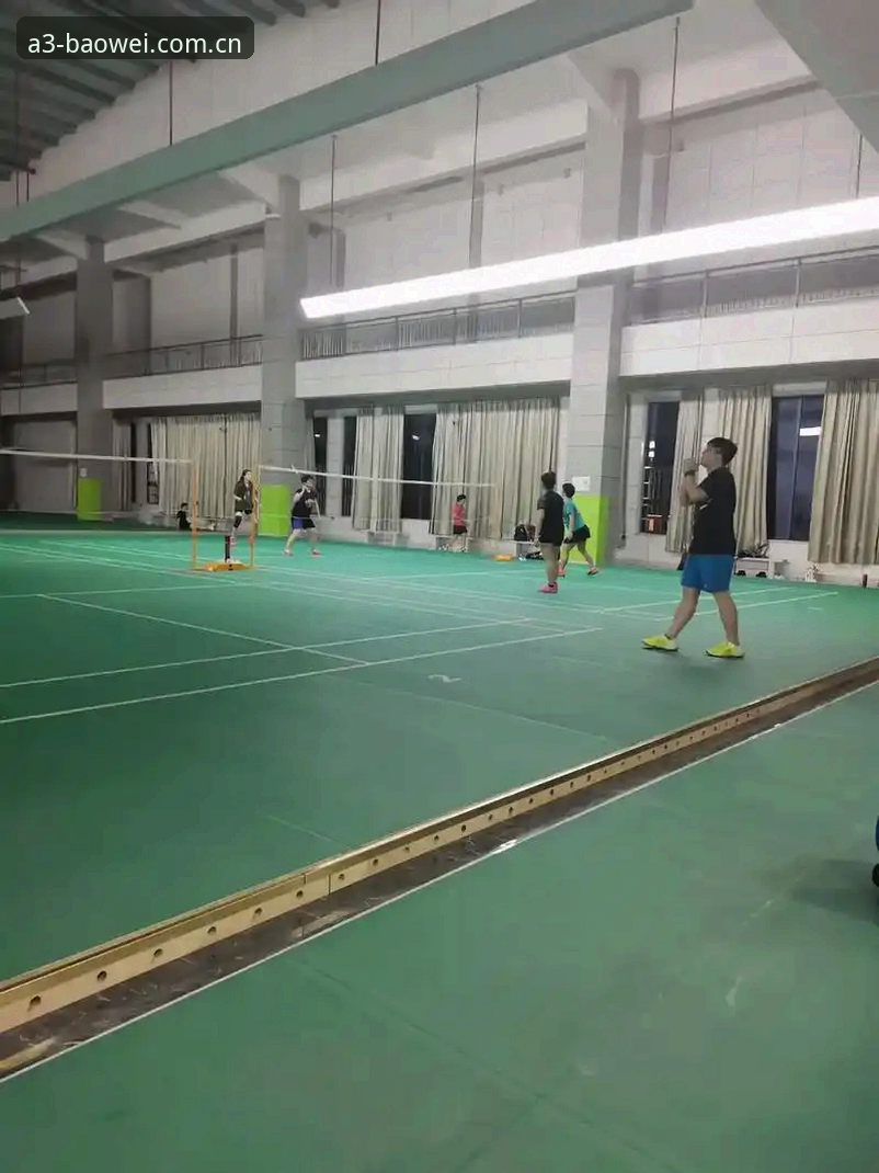 宝威体育平台网页版登录选择深度分析：A3PL首版元年如何重构运动美学