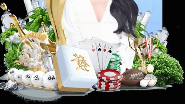 专业支持，全程守护